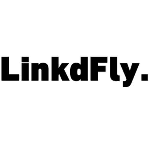 موقع الكتروني لشركة LinkdFly